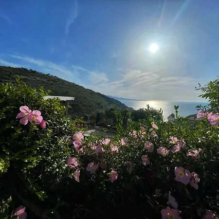 Paza Saranda