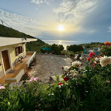 Paza Saranda