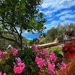 Paza ساراندا