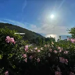 Paza ساراندا