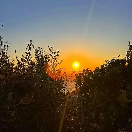 Paza * Saranda
